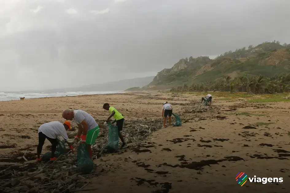 O impacto do voluntariado no desenvolvimento de competências cidadãs